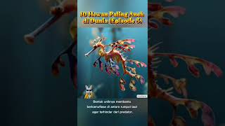 Leafy Sea Dragon, Naga Daun dari Lautan #HewanAneh #FaktaHewan #EdukasiMotivasi #VideoViral #Animals