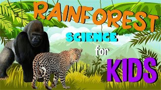 What is a Rainforest | Science for Kids