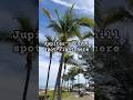 Why Locals Love Dubois Park in Jupiter Florida 🌴