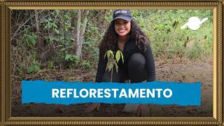 Plantio em comunidades ribeirinhas