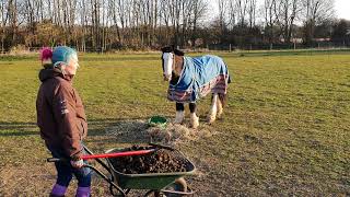 Equestrian Life On Lockdown - Day 1