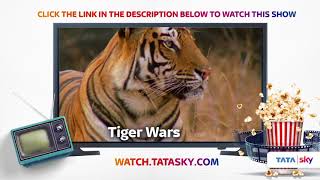 Watch Full Episodes of Television Show Tiger Wars
