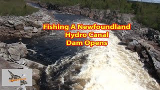 TROUT FISHING NEWFOUNDLAND.... Newfoundland's large hydro canal systems near Miller Town