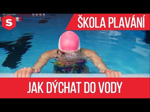 Video: Jak Se Naučit Plavat Pod Vodou