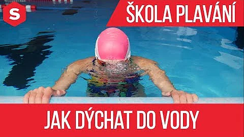 Jak vysoký je obsah vody v těle zdravého člověka?