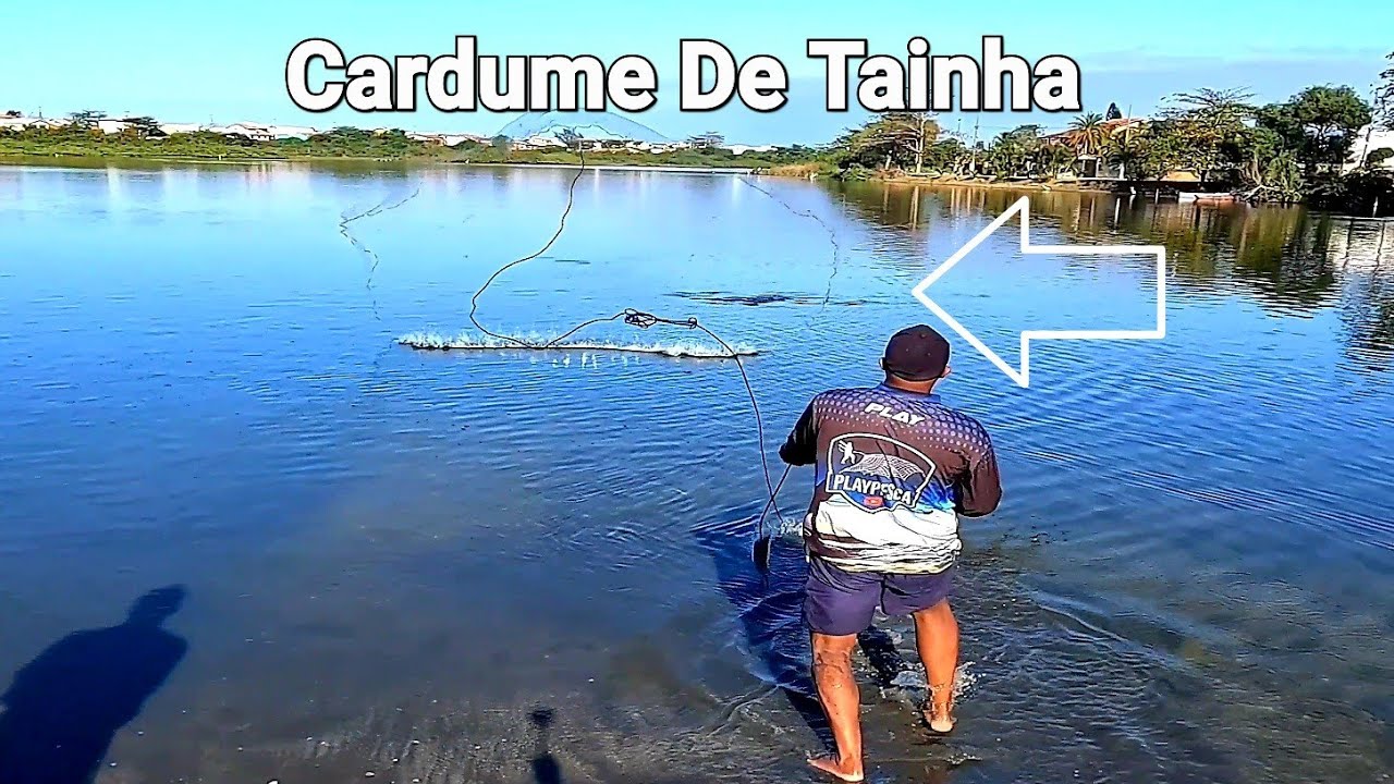 Ficamos vigiando o CARDUME de TAINHAS  na Pescaria De TARRAFA   어망