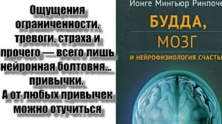 Естественный Ум #Мозг #Нейрофизиология #Буддизм #Наука #Ум #Йонге #Мингьюр #Ринпоче #Татхагатагарбха