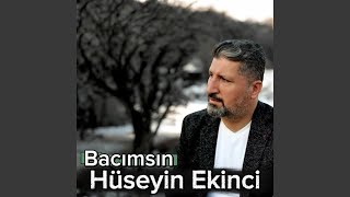 Bacımsın