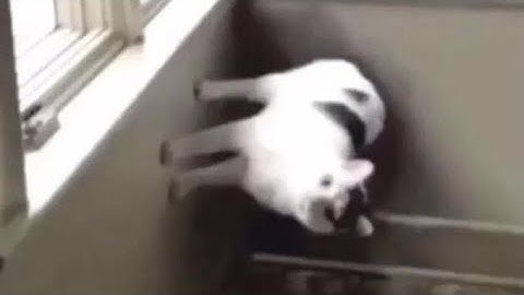 Nevermind (Original MilkyTracker Track)