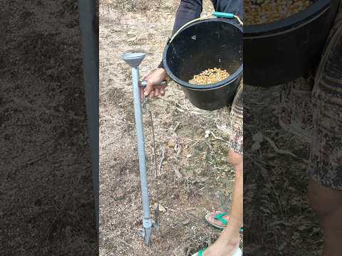 Alat Tanam Jagung Alat Pertanian Kreatif