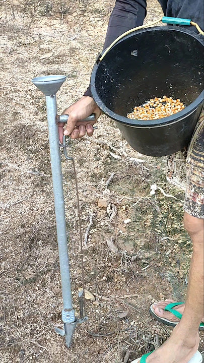 Alat Tanam Jagung | Alat Pertanian Kreatif
