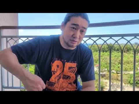 ONE日本大会をRIZIN無敗が見た感想
