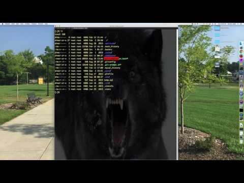 My PS1 Command Prompt Enhansing Git Repos