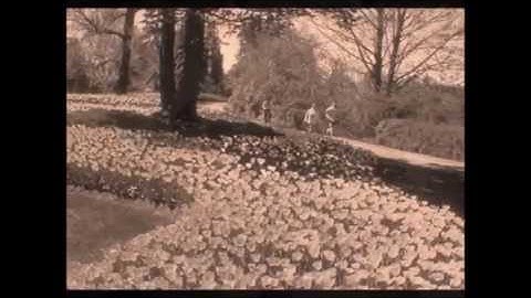 english 10  unit 12  music  reading