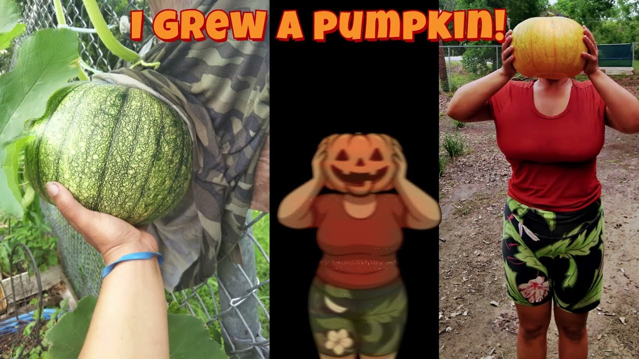 Garden TRANSFORMATION ! ( from colorful blooming spring & summer to winter blues )