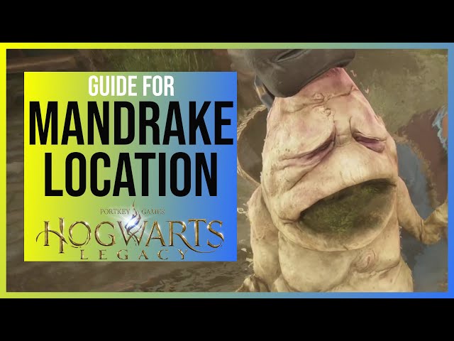 How to get a Hogwarts Legacy Mandrake