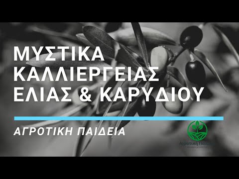 Βίντεο: Τι είναι τα καρύδια: Συμβουλές για την καλλιέργεια καρυδιών στο τοπίο