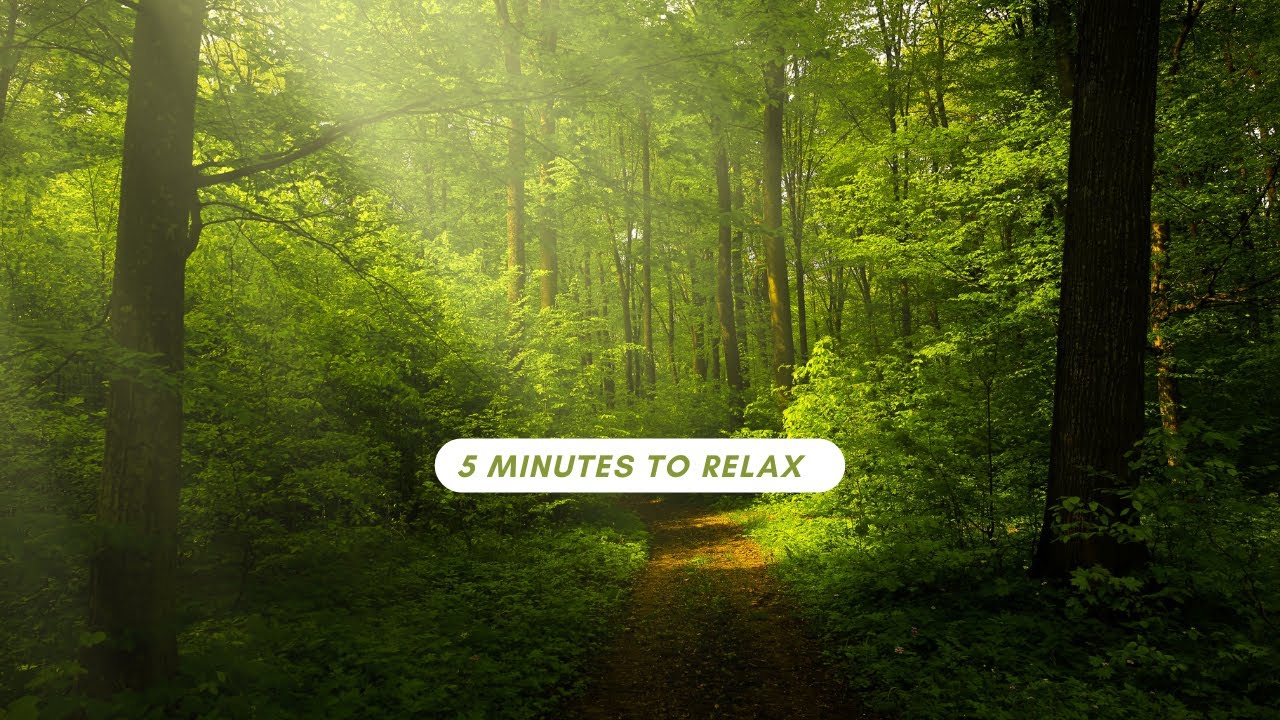 5 Minutes meditation music to quiet your mind - YouTube