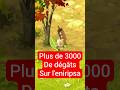 Eniripsa DOPOU = broken ?! #dofusfr #dofus #stuffdofus #dofusunity #mmorpg