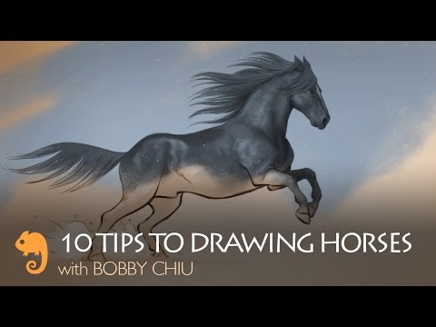 Video: All About Horses: How To Draw