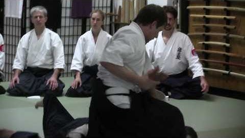 April 3, 2017 5th Kyu Test by Robert Bebeau