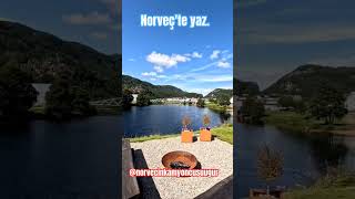 norge yol norveç norway kamyon tır yolculuk yaz