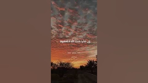 القرآن الكريم غذاء الروح🤍