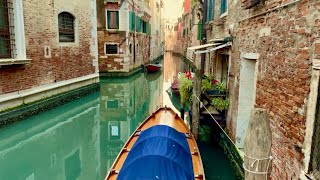 VENICE as a postcard on a tranquil sunny winter morning 4k#venice#italytravel