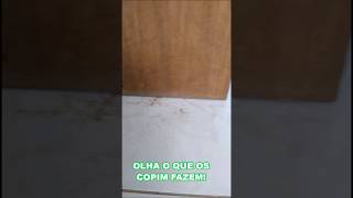 O que fazer com porta com copim?