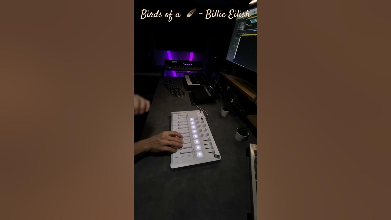 Birds of a feather - Billie Eilish (Live Loop Cover) | Minilab 3 #arturia #logicprox