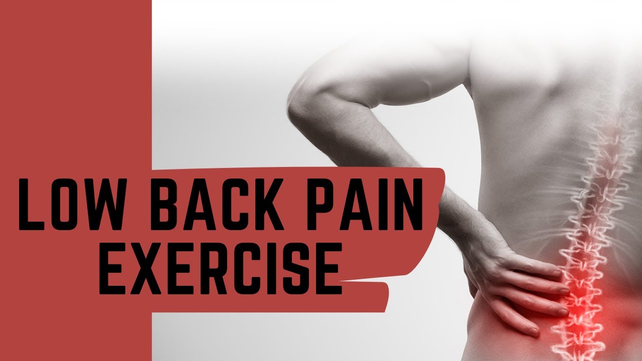 Low Back Pain Exercise To Improve Trunk And Pelvis Disassociation