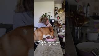 I don’t understand the question. #corgi #doglife #everything