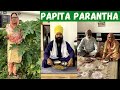Papita Parantha Recipe | ਕੱਚੇ ਪਪੀਤੇ ਦੇ ਪਰਾਂਠੇ | Papaya Stuffed Parantha | Indian Mom Cooking