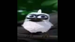 Bird Earrape Meme