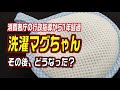 消費者庁の行政指導から1年経過 洗濯マグちゃん その後どうなった？