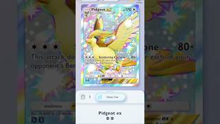 All About Pokémon in PTCGP (Pidgeot)