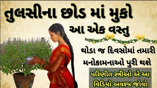 તુલસી ના છોડમાં મૂકી દયો આ એક વસ્તુ /vastu sastra/Dhanterash/Diwali/ઘર આંગણે રાખો તુલસીનો છોડ.