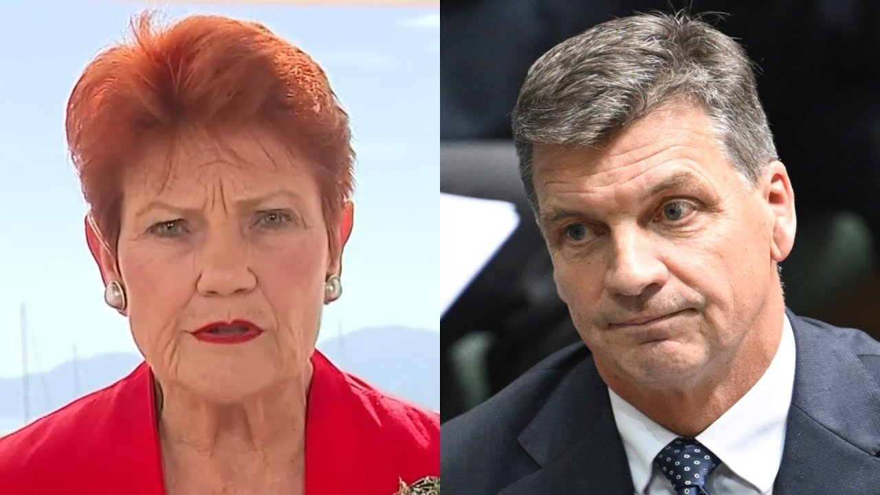 ‘Are you Australian?’: Pauline Hanson questions Angus Taylor’s loyalty over  ‘monocultural’ row