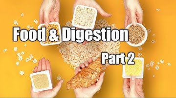 Class 4 | Chapter 1 | Food & Digestion ( Part 2)