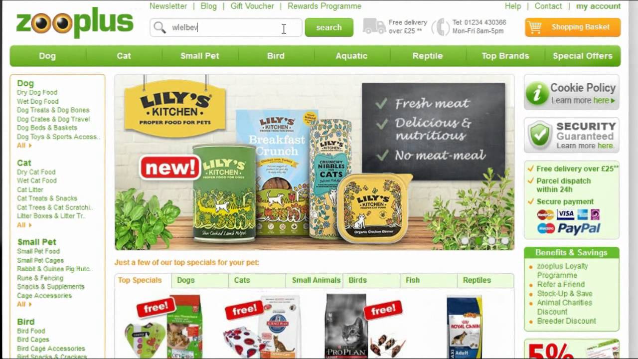 Exorbyte Commerce Search (English)