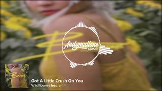 Wildflowers feat. Emmi - Got A Little Crush On You