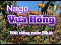 Nago vựa Hồng của Nhật Bản🇯🇵🥇
