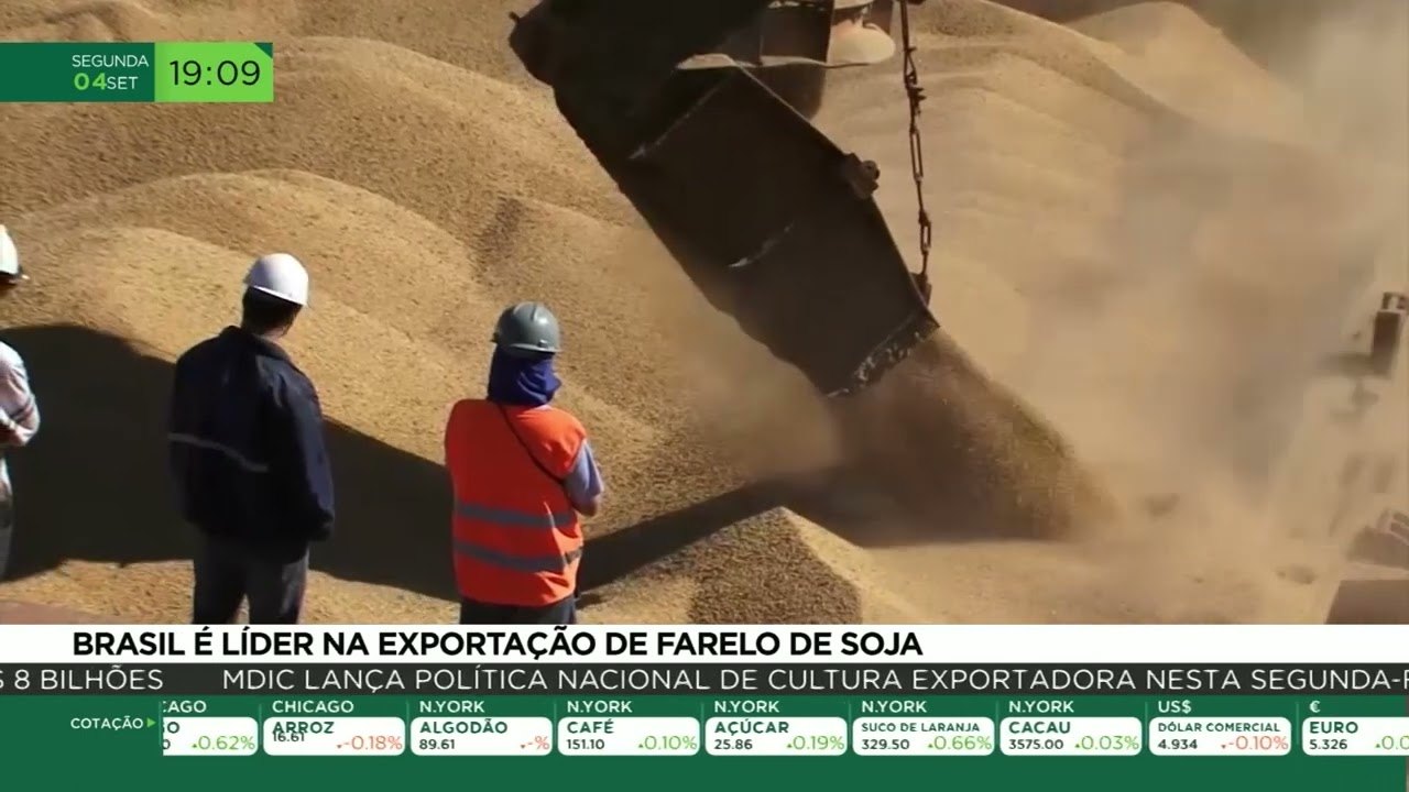 Brasil é líder na exportação de farelo de soja