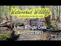 A West Michigan Creek, March 2020 Part I