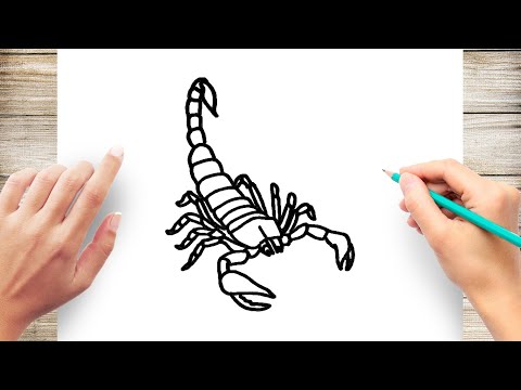 Hand Drawn Sketch Scorpion Tattoo Animal Stock Vector (Royalty Free)  536527918 | Shutterstock