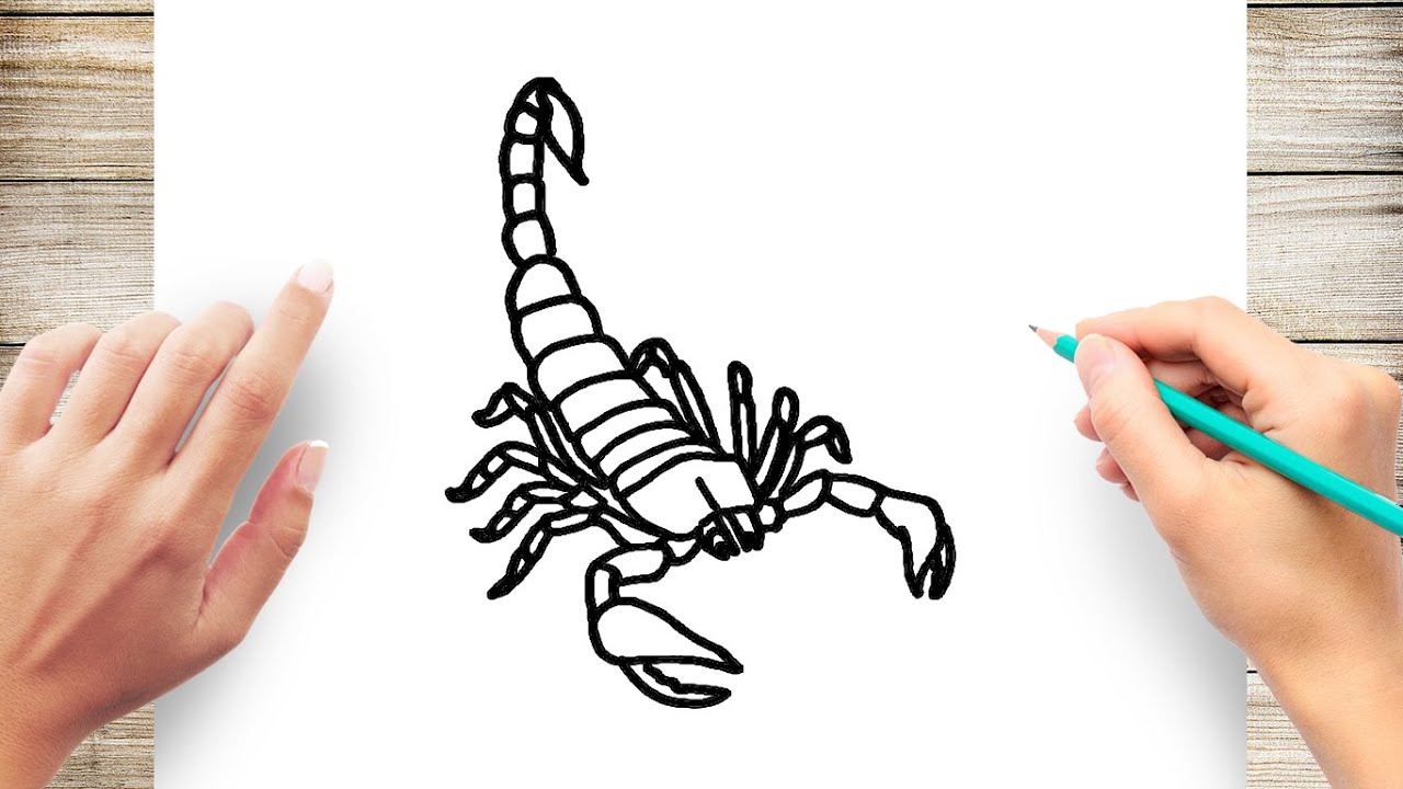 How to draw a scorpion step by step - YouTube