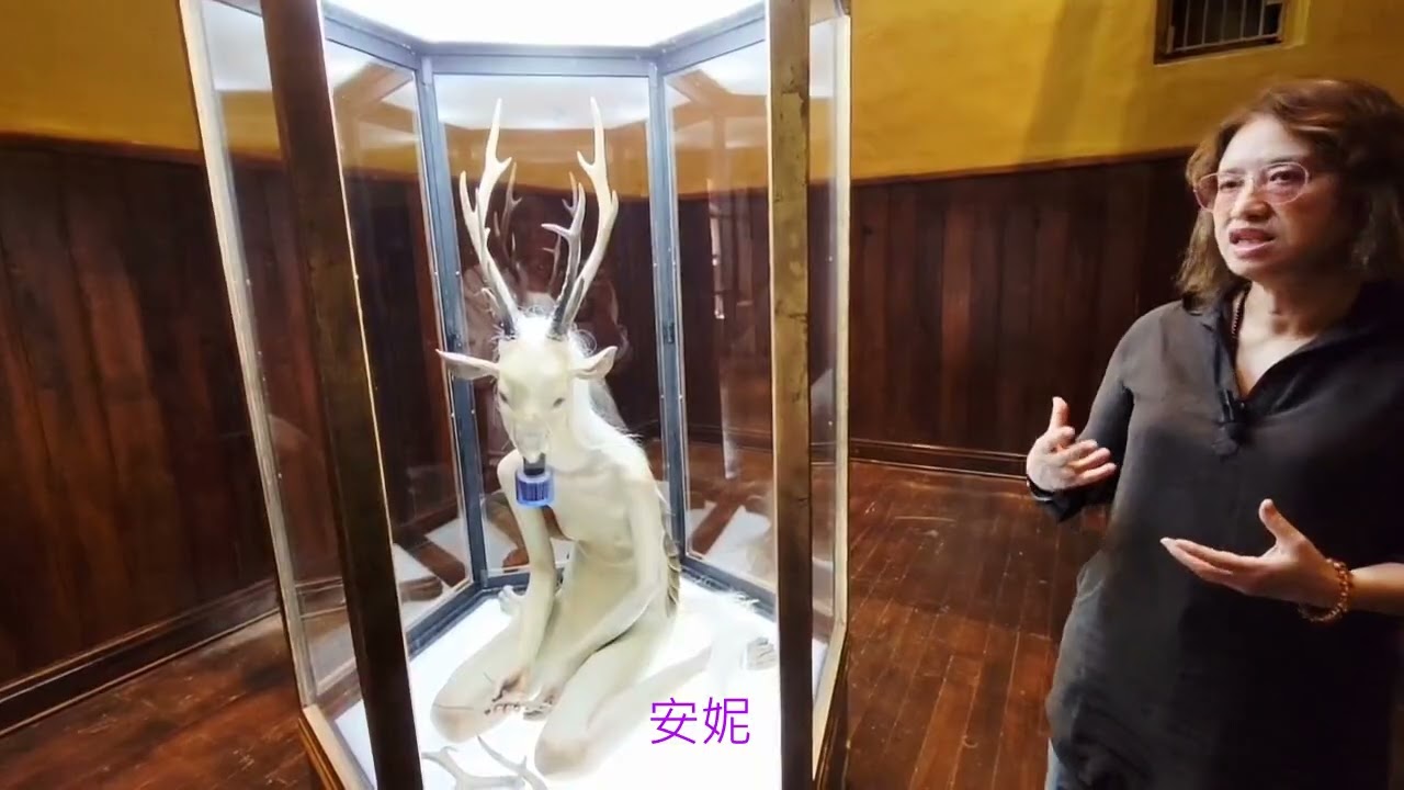 宜蘭美術館臺澳現代藝術創作展 策展人李瑋專訪