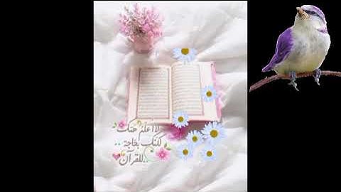 القرآن الكريم 🎧هو جنة🌹هو رفعة 🌹 هو هداية🌹هو سبيل إسعاد