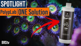Major Elements for Reef Tank Dosing AND Nutrient Control?? - PolypLab ONE Solution