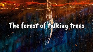 Of Monsters and Men - Dirty Paws Lyric Video
